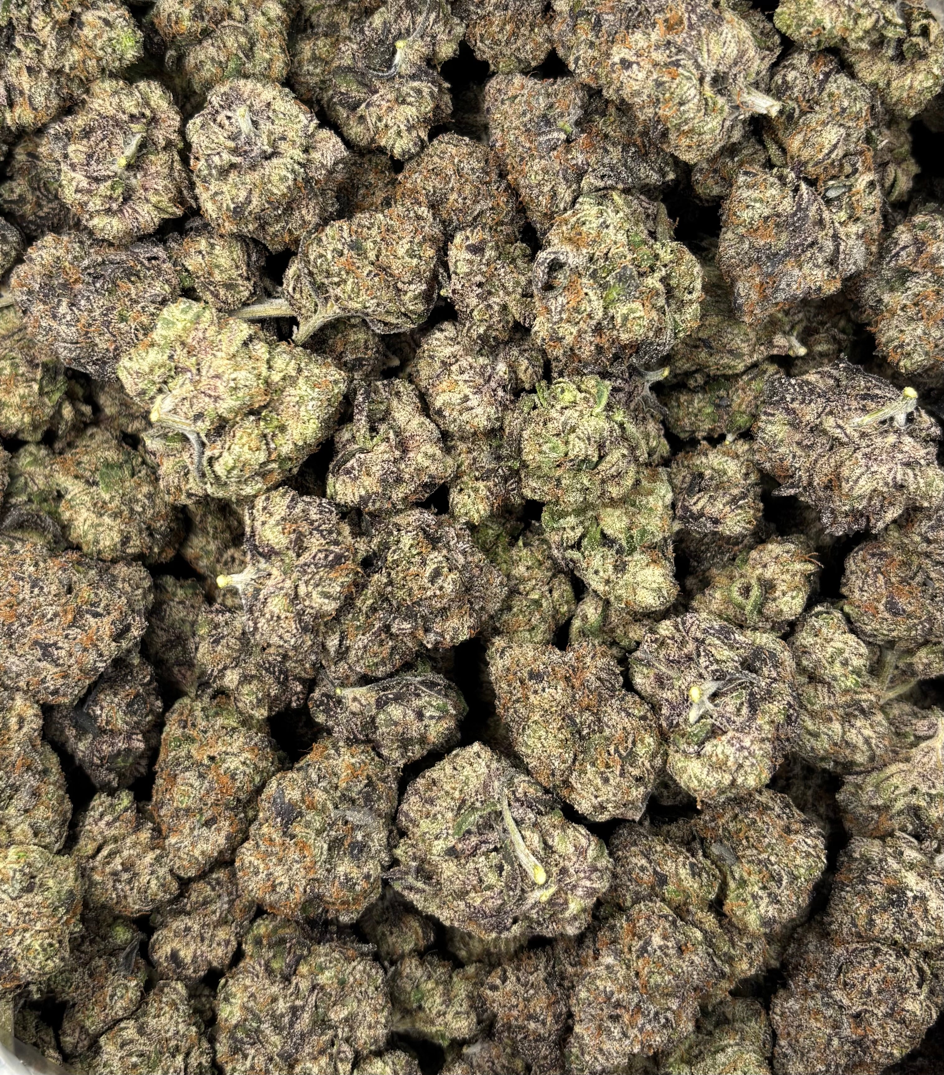 Lemon Cherry Gelato