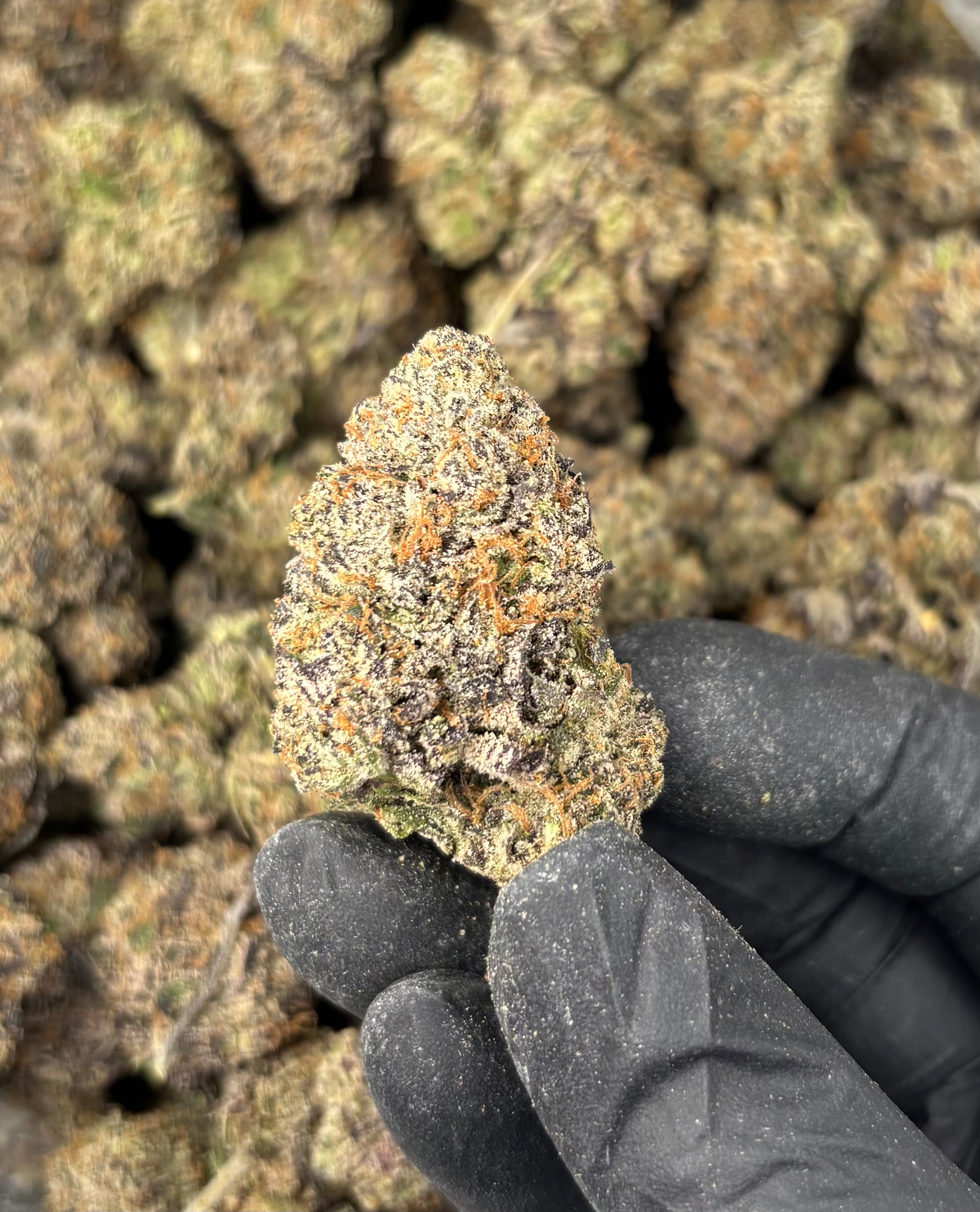 Grape Candy
