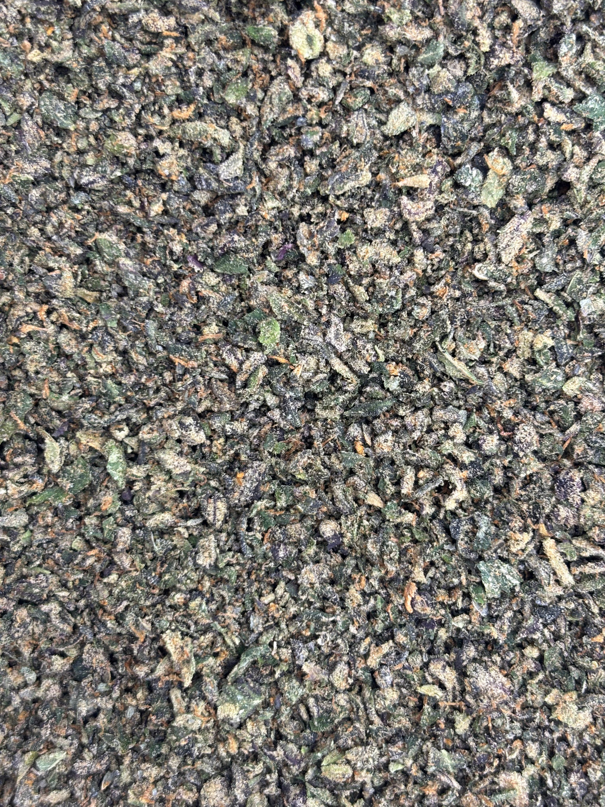 Indoor Shake