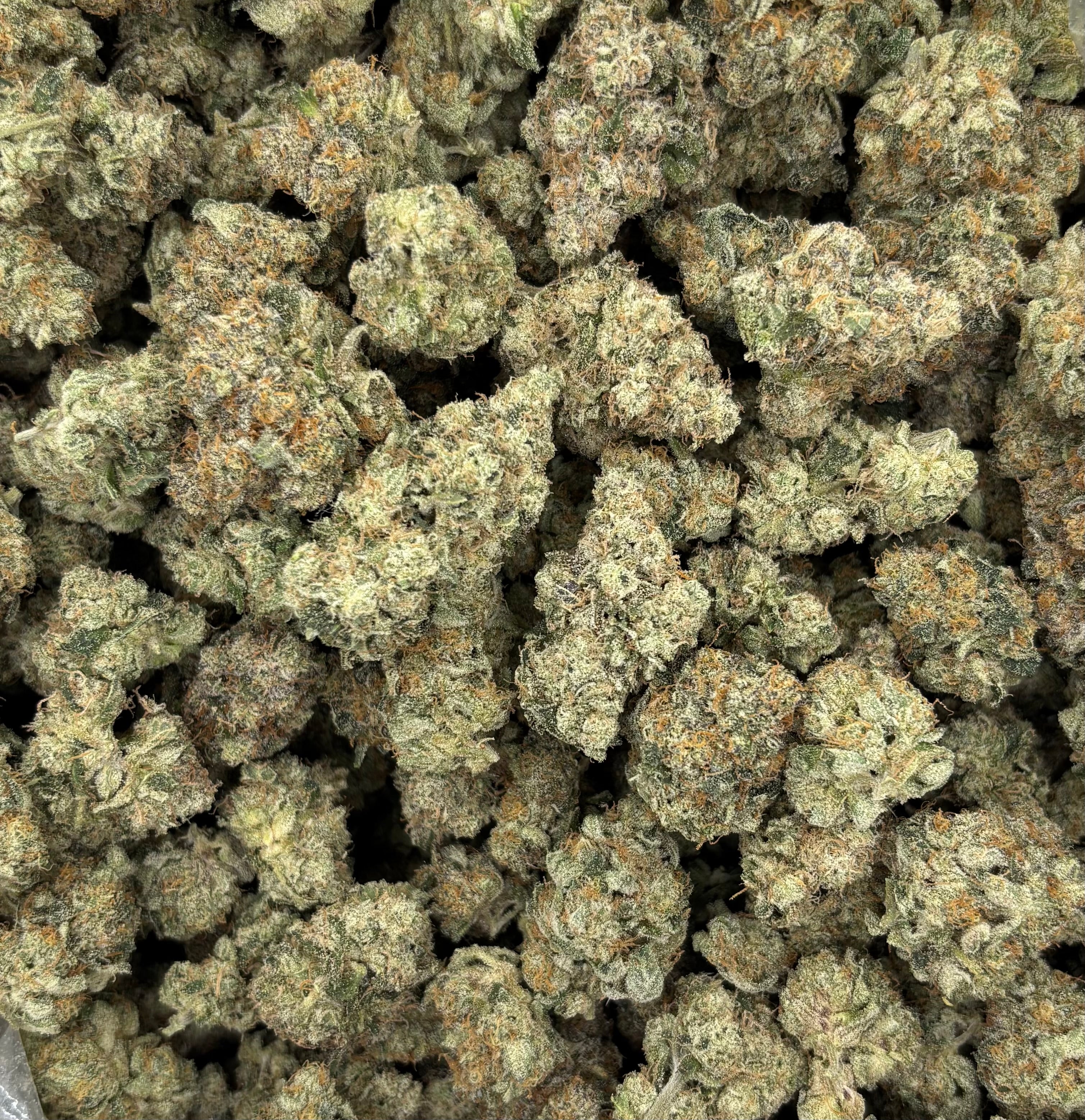 HashBurger