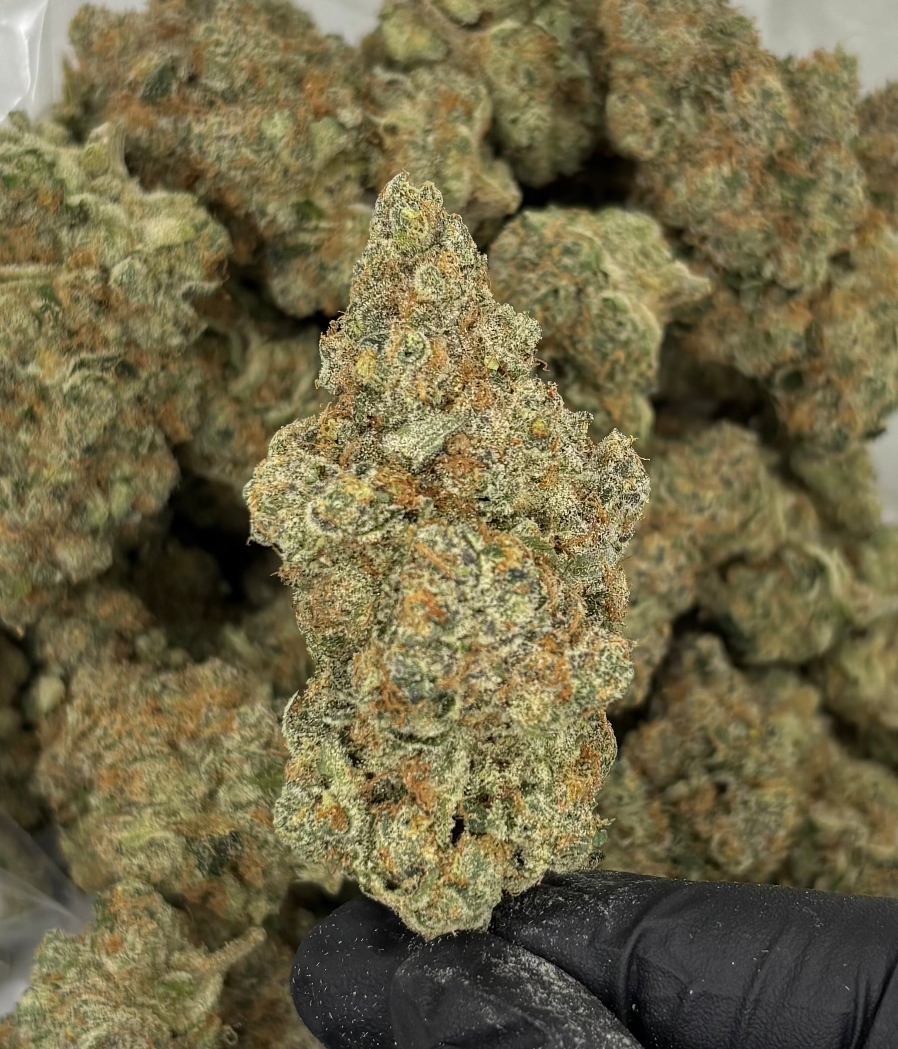 Lemon Fire Runtz
