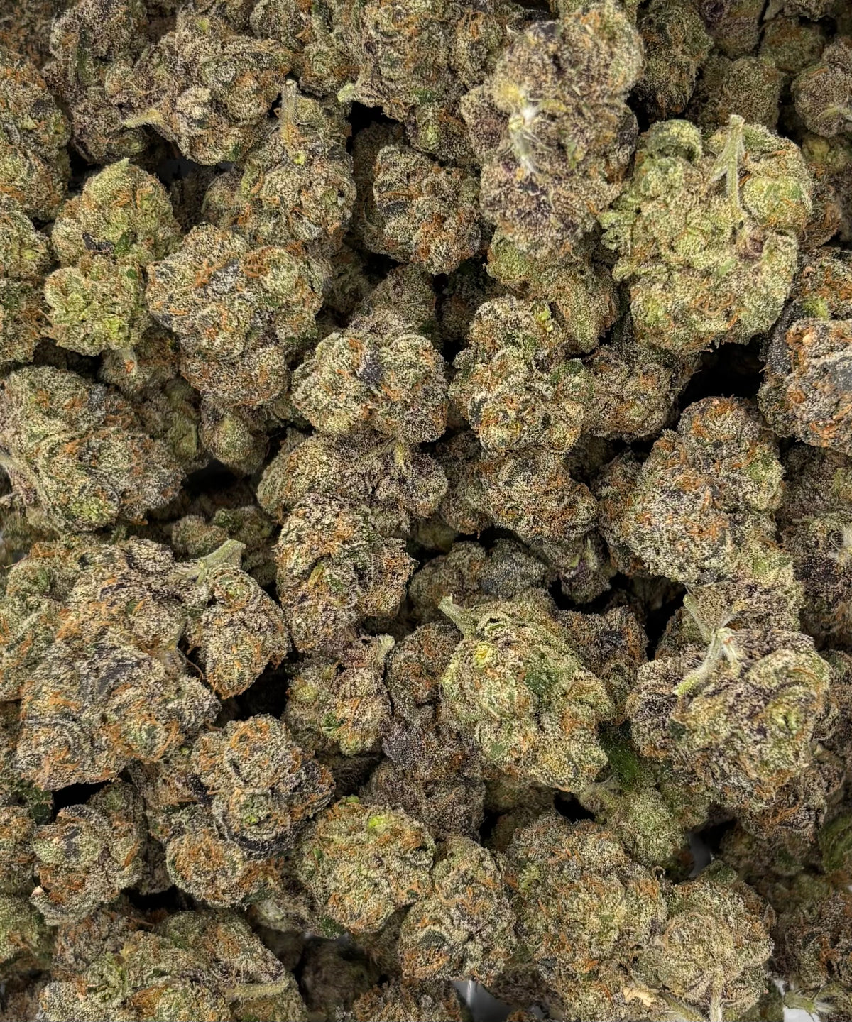 Lemon Cherry Gelato